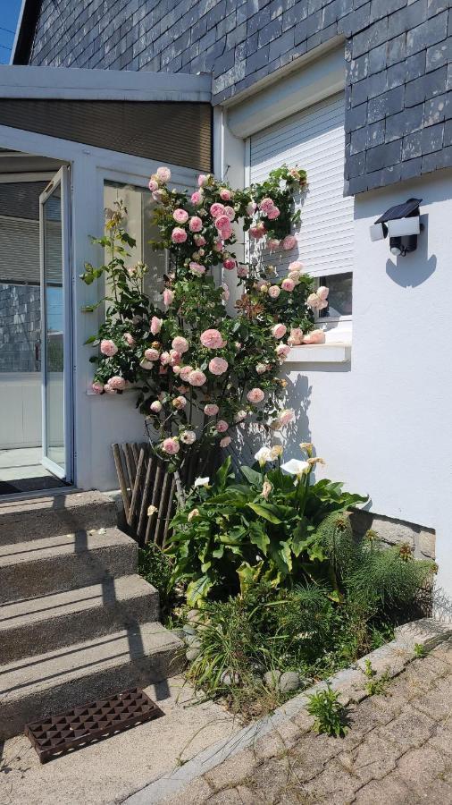 Maison 2 Chambres Spa Centre Ville Spa Quimper Exterior foto